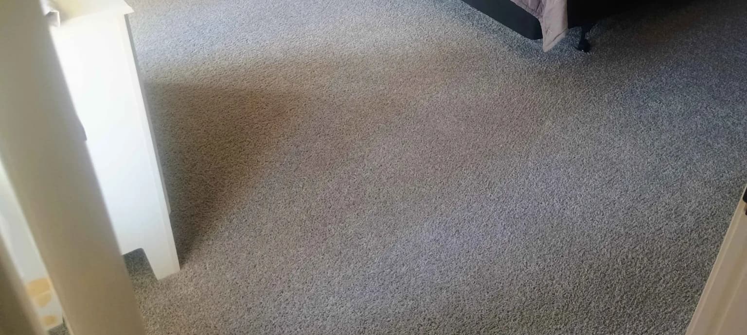 Safe-Dry carpet cleaning service in Crosby, TX