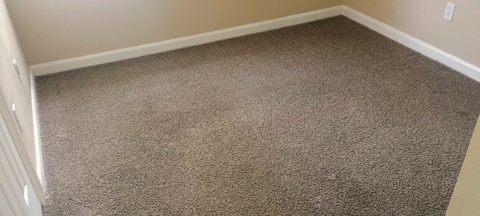 Safe-Dry carpet cleaning service in Huffman, TX