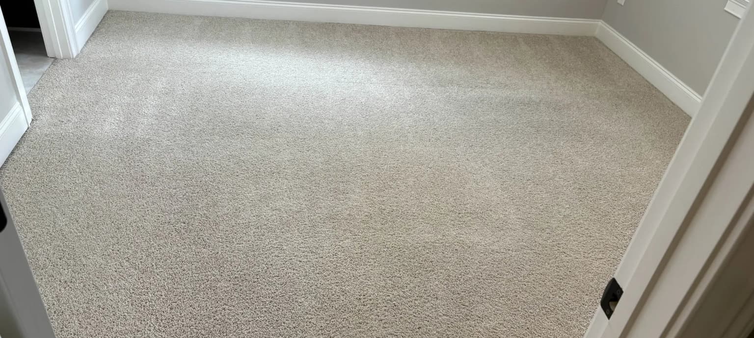 Safe-Dry carpet cleaning service in Humble, TX