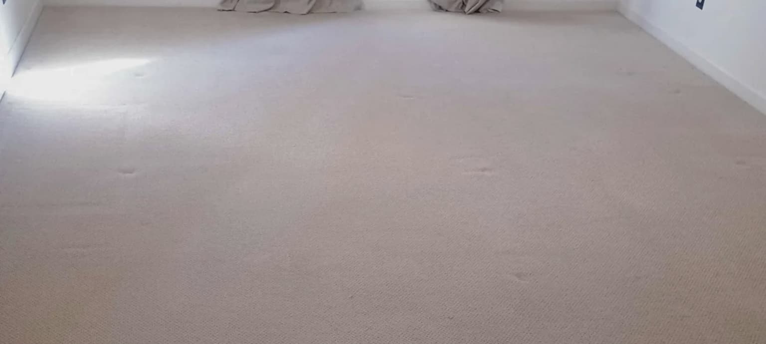 Safe-Dry carpet cleaning service in Kingwood, TX