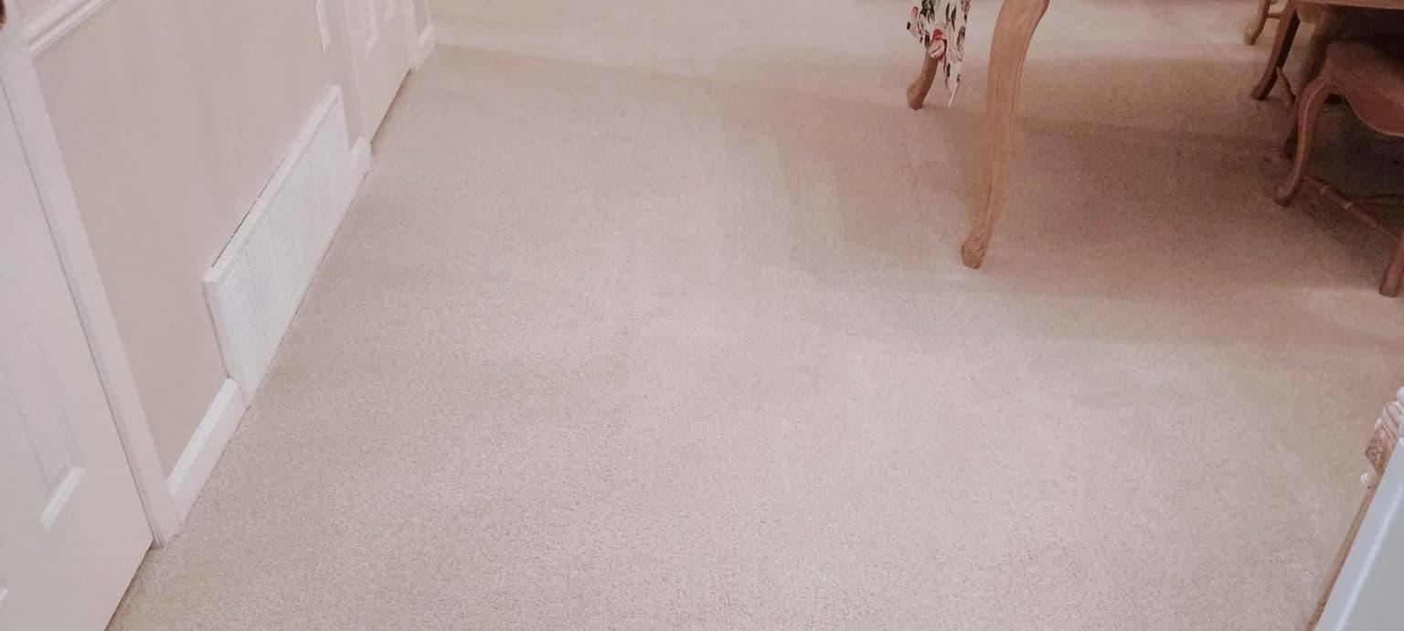 Safe-Dry carpet cleaning service in New Caney, TX
