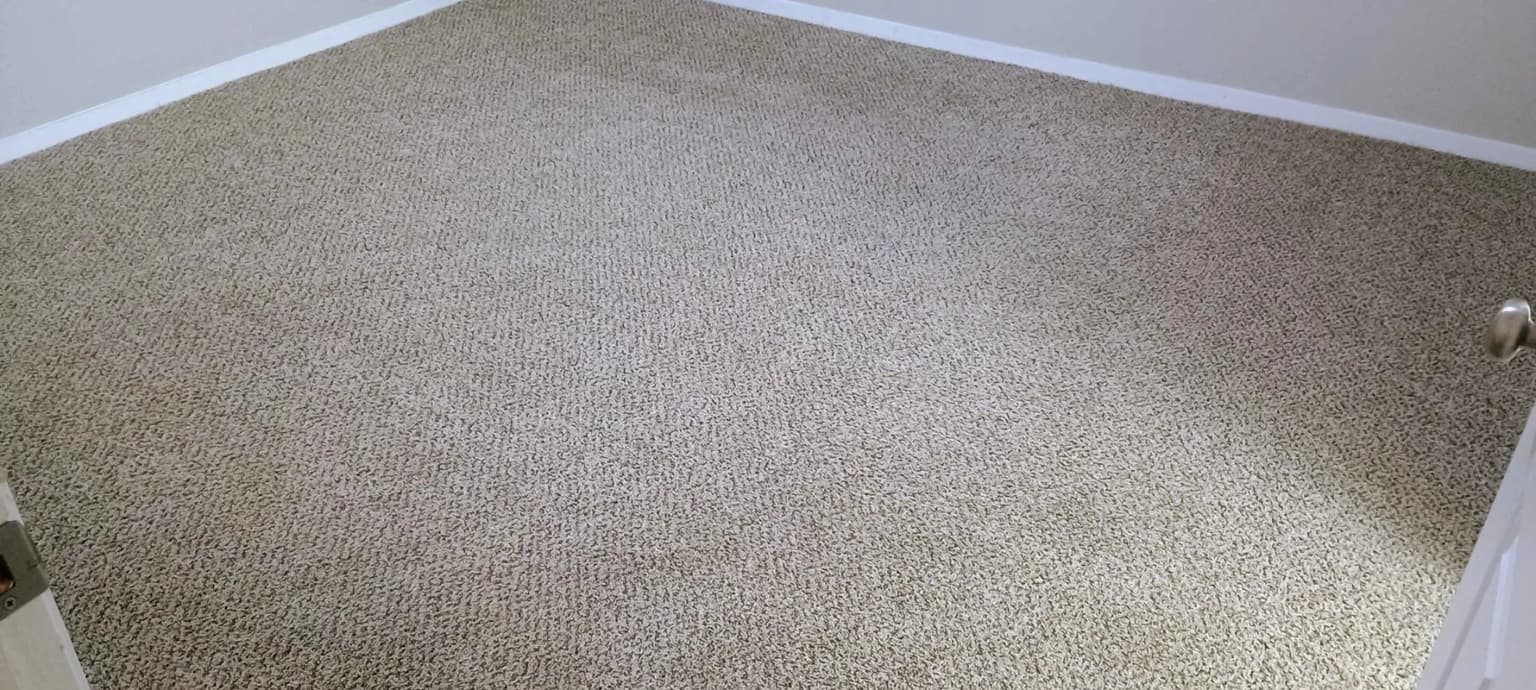 Safe-Dry carpet cleaning service in Porter Heights, TX