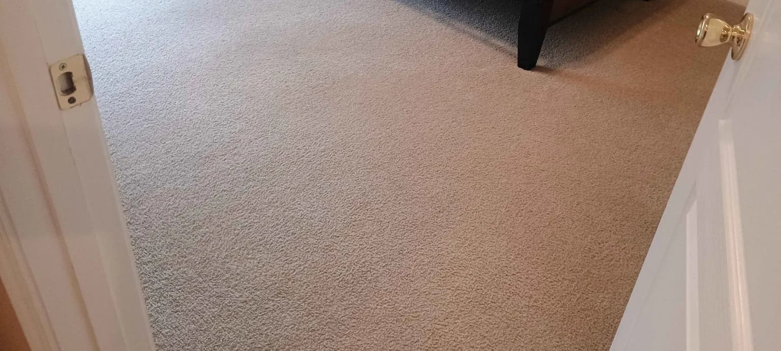 Safe-Dry carpet cleaning service in Porter, TX