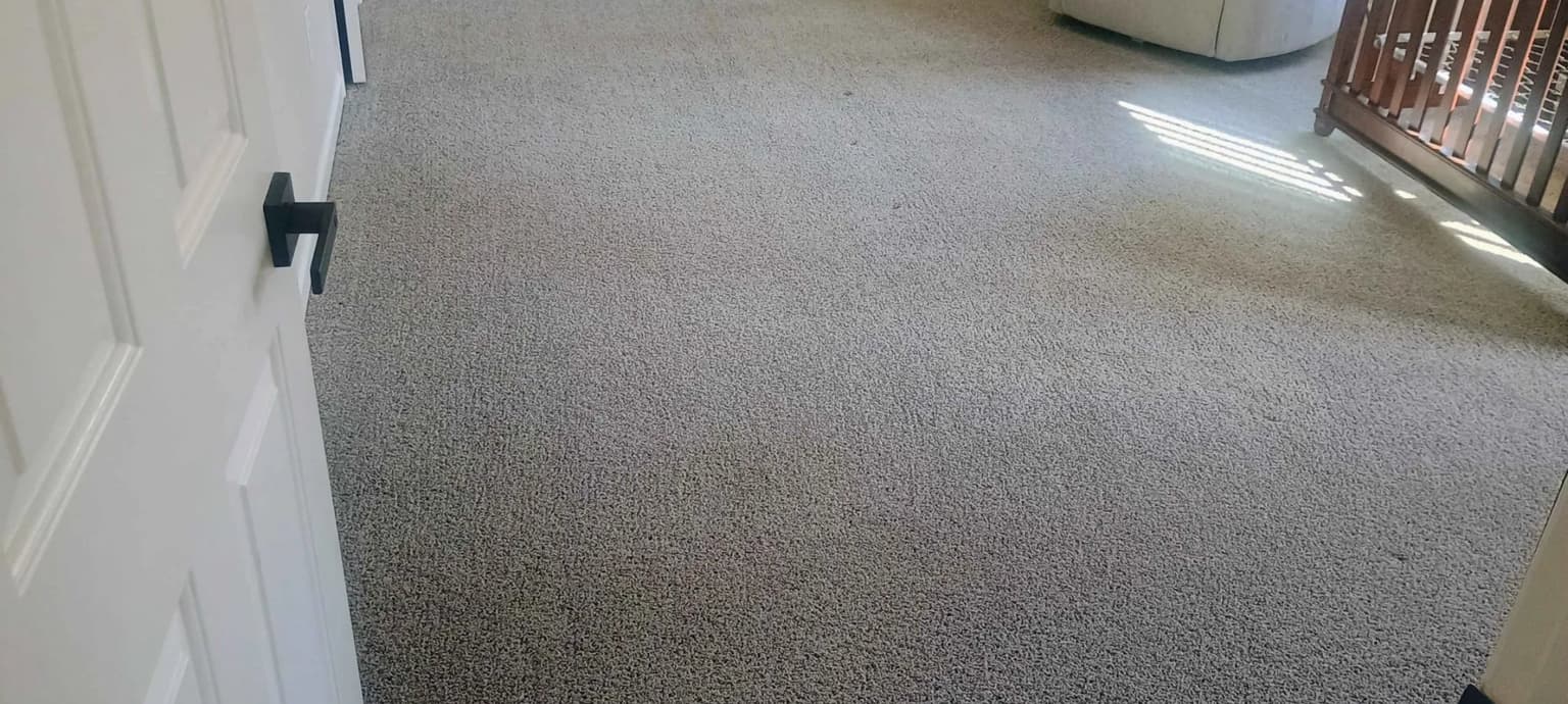 Safe-Dry carpet cleaning service in Roman Forest, TX