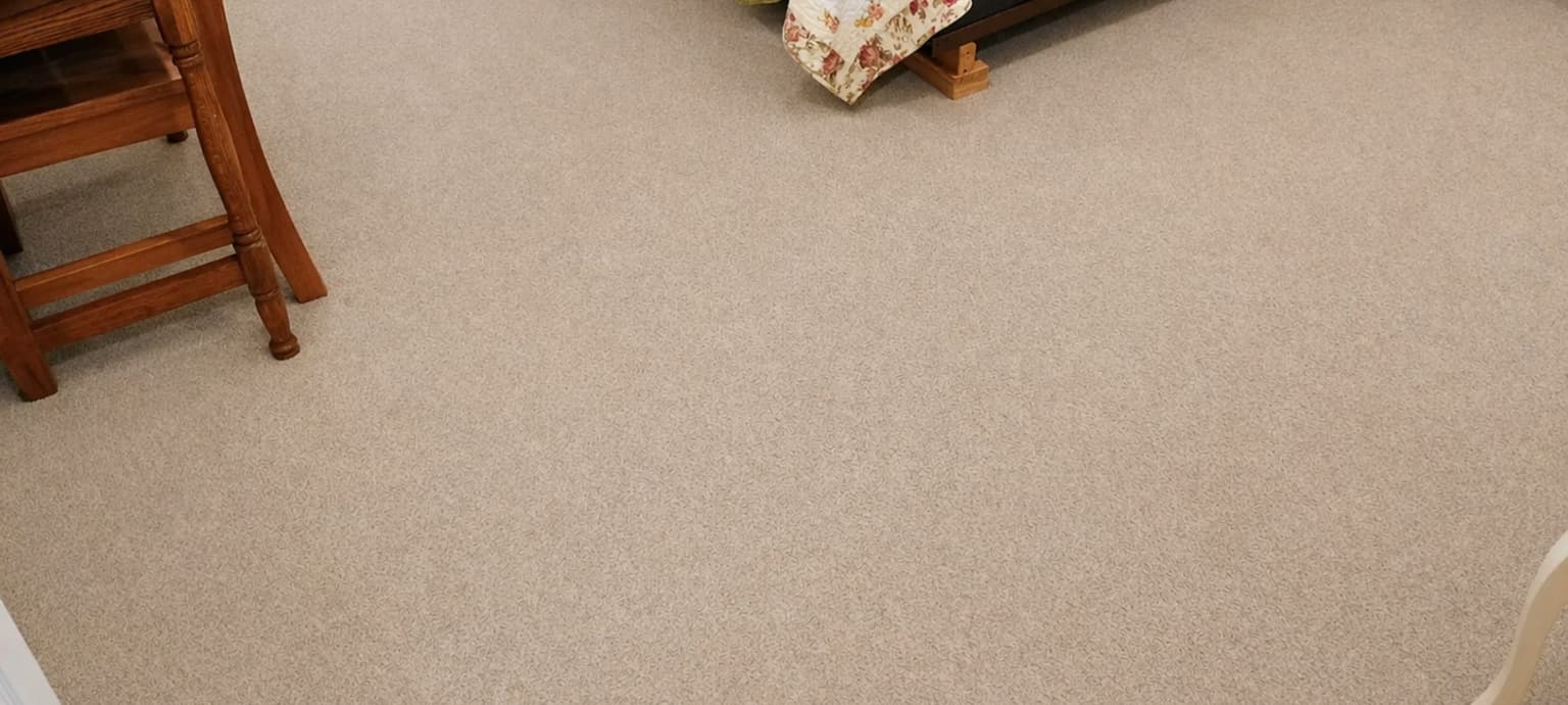 Safe-Dry carpet cleaning service in Woodbranch, TX