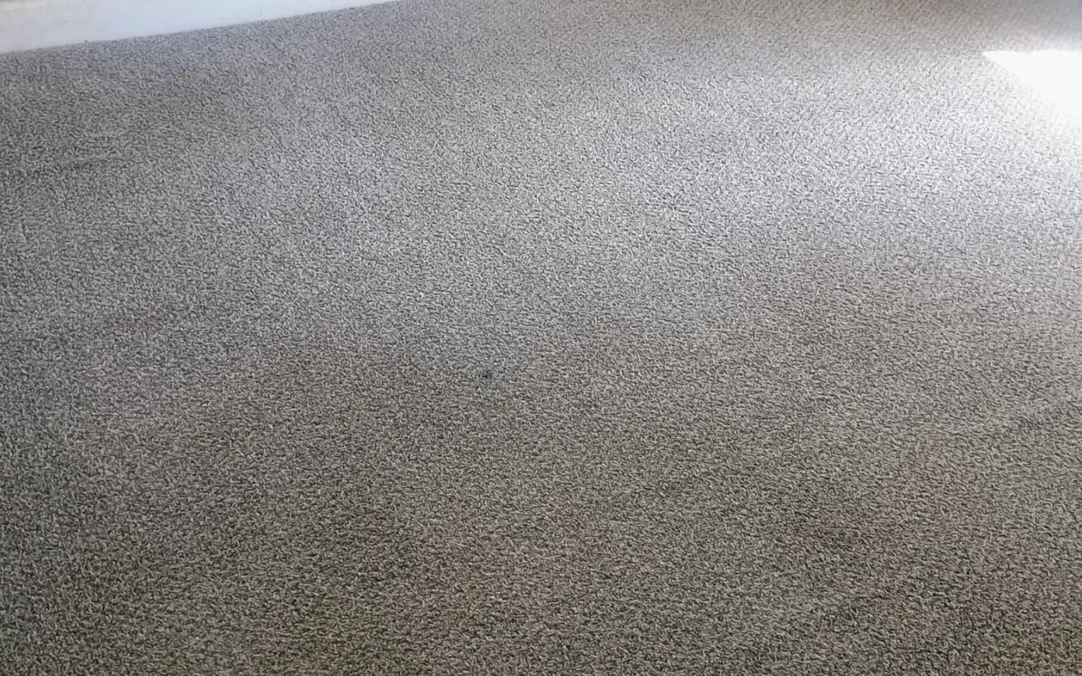 How professional carpet cleaning saves time and extends carpet life