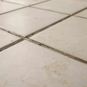 Close-up of tile grout lines showing dirt buildup from everyday use