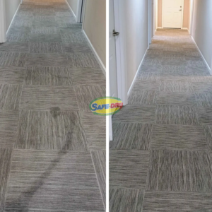 Before and after residential carpet cleaning